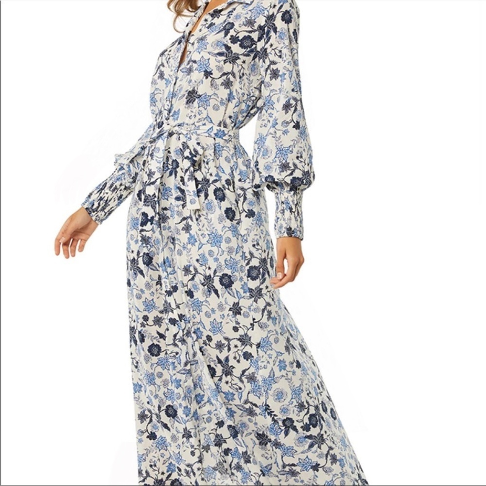 MISA LOS ANGELES Bettina Maxi Dress in Menara Petals - Picture 5 of 7